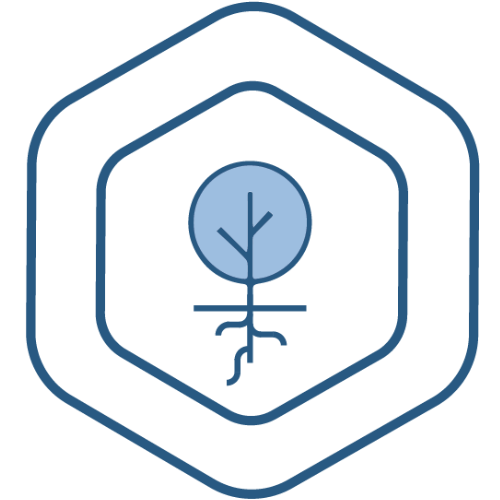 Leadership coaching logo: Stylized tree with roots inside a hexagon.